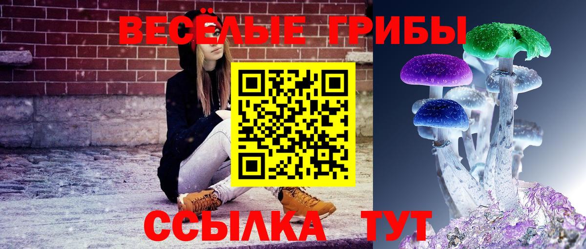 Галлюциногенные грибы Magic Shrooms  Вход с VPN  Москва  Галлюциногенные грибы Magic Shrooms 